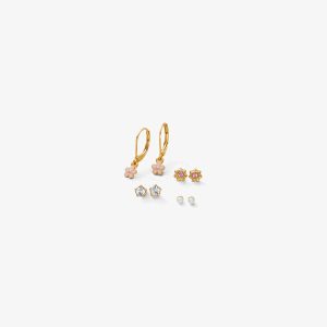 SET ARETES FLOR ROSA